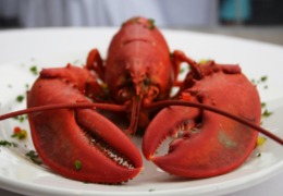 化妝品原料小百科：蝦青素的來(lái)源你知道嗎？