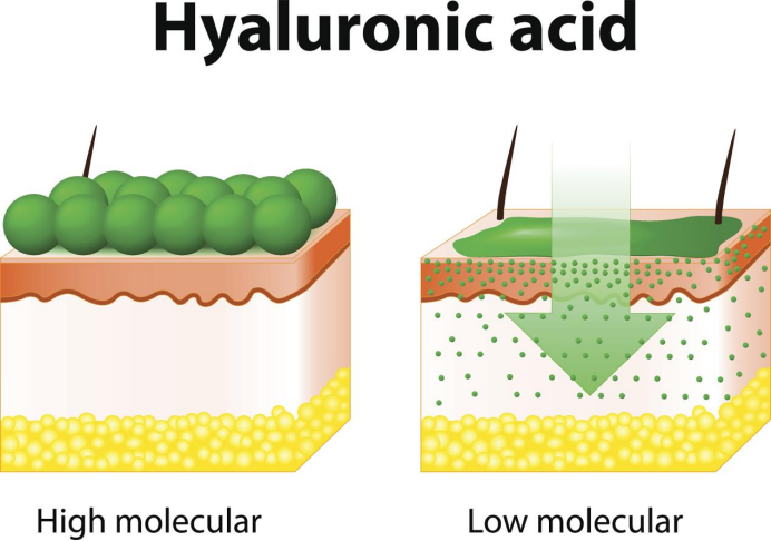 透明質酸隱藏的特殊性能