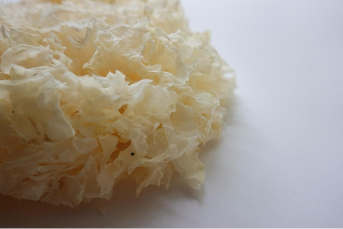 銀耳多糖的含量檢測中：葡萄糖醛酸和總糖分別指的是什么？（上）