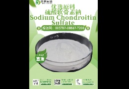 軟骨救星，硫酸軟骨素鈉讓你告別關節疼痛！