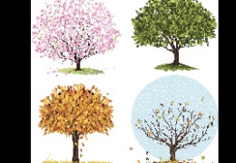 為什么換季皮膚易干燥？