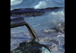 核輻射風波，日妝還能用嗎？