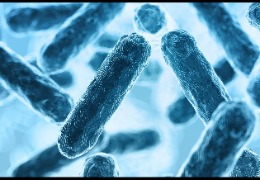 食品加工環境微生物監控如何采樣（下）